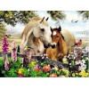 Horses Mon Diamond Painting Kit
