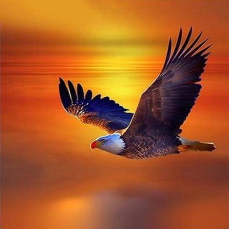 Eagle Orange Sunset Diamond Painting Kit