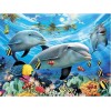 Dolphin Ocean Diamond Painting Kit