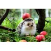 Cute Hedgehog Forest Apple Tree Diamond Painting Kit