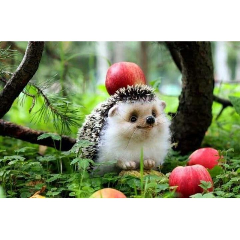 Cute Hedgehog Forest...