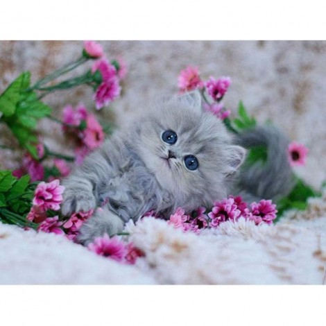 Cute Cat and pink flowers Diamond Painting Kit