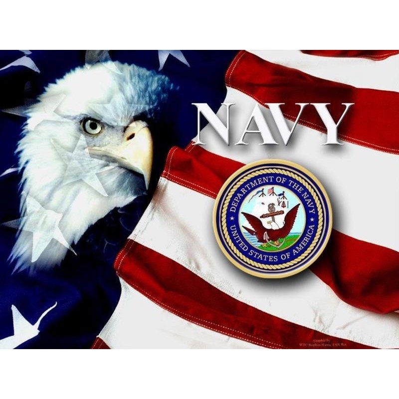 NAVY Diamond Paintin...