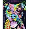 Pitbull Colorful Diamond Painting Kit