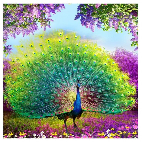 Peacock Wealth And Good Fortune Diamond Painting Kit