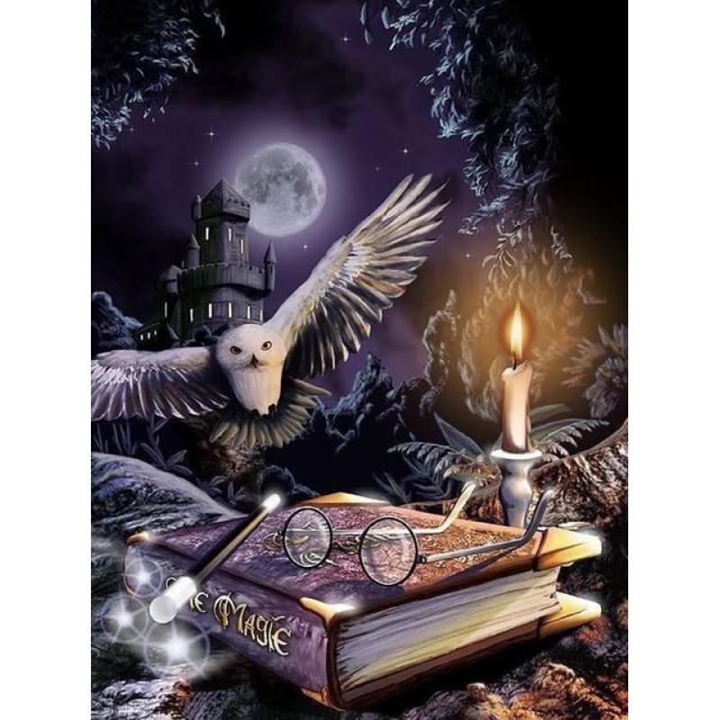 Owl Night Book Diamo...