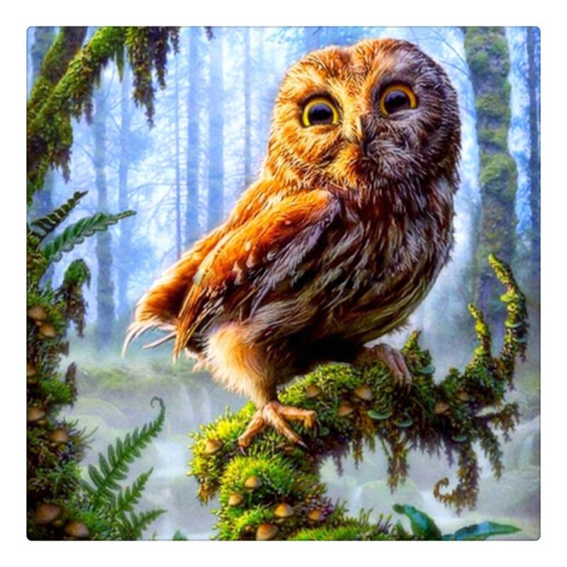 Owl Needlework Diamo...