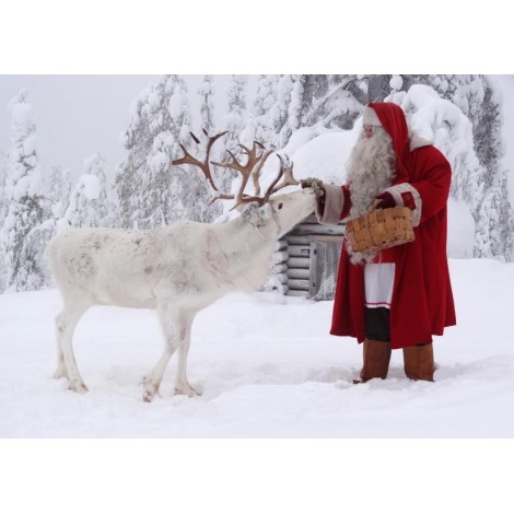 Christmas Diamond Painting Kit 5D Season 2-96