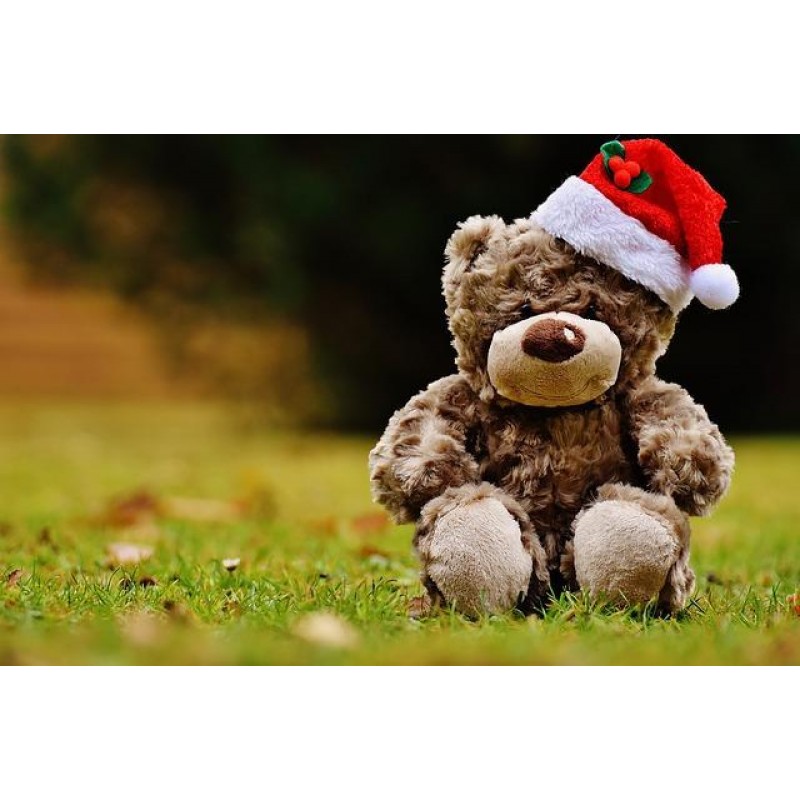 Christmas Diamond Pa...