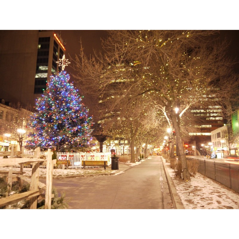 Christmas Diamond Pa...