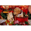 Christmas Diamond Painting Kit 5D Season 2-82