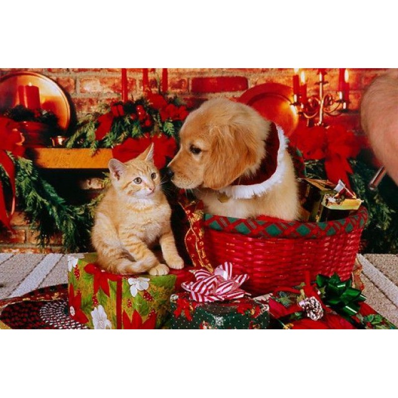 Christmas Diamond Pa...