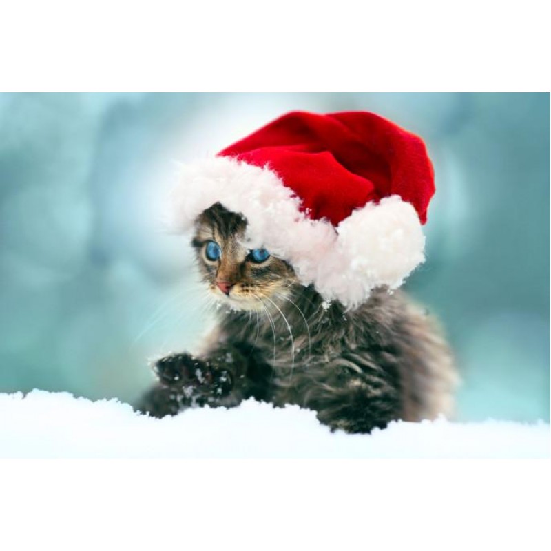 Christmas Diamond Pa...