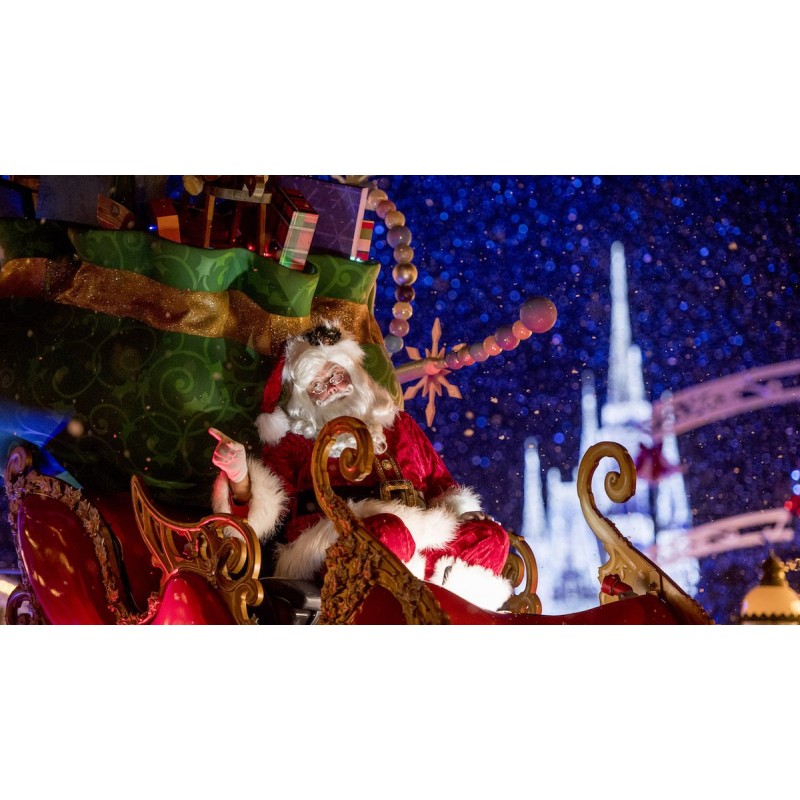 Christmas Diamond Pa...