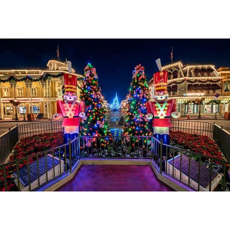 Christmas Diamond Pa...