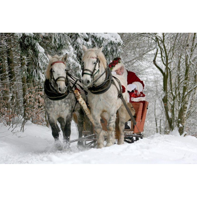 Christmas Diamond Pa...