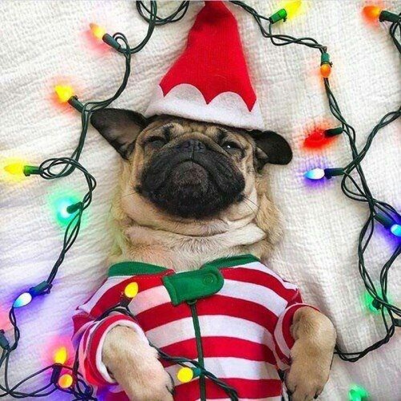 Christmas Diamond Pa...