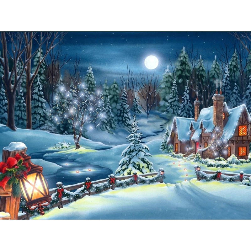 Christmas Diamond Pa...