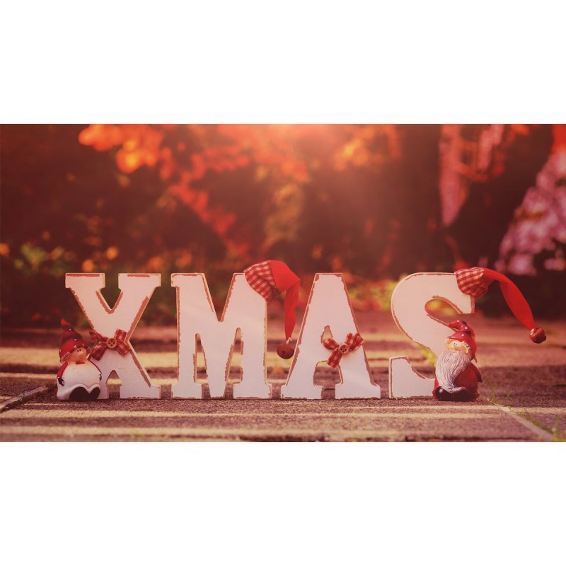 Christmas Diamond Pa...