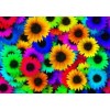 Rainbow Flowers Diamond Painting Kit Rainbow Flowers-5