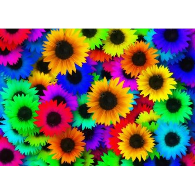 Rainbow Flowers Diam...