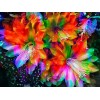 Rainbow Flowers Diamond Painting Kit Rainbow Flowers-14
