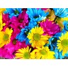 Rainbow Flowers Diamond Painting Kit Rainbow Flowers-11