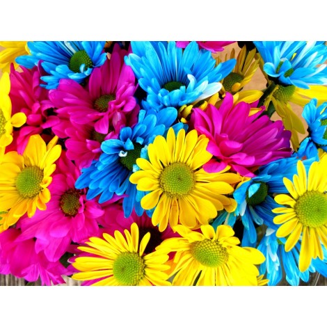 Rainbow Flowers Diamond Painting Kit Rainbow Flowers-11