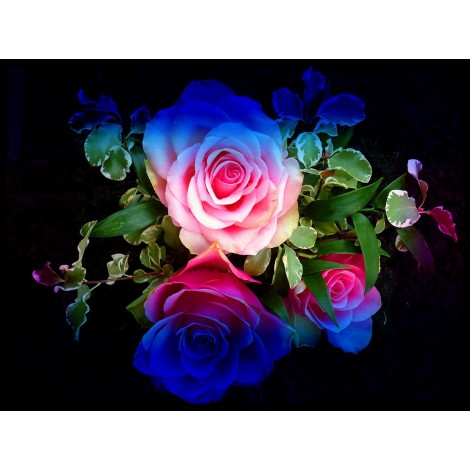 Rainbow Flowers Diamond Painting Kit Rainbow Flowers-10
