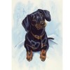 Snow In The Dog Diamond Painting Kit