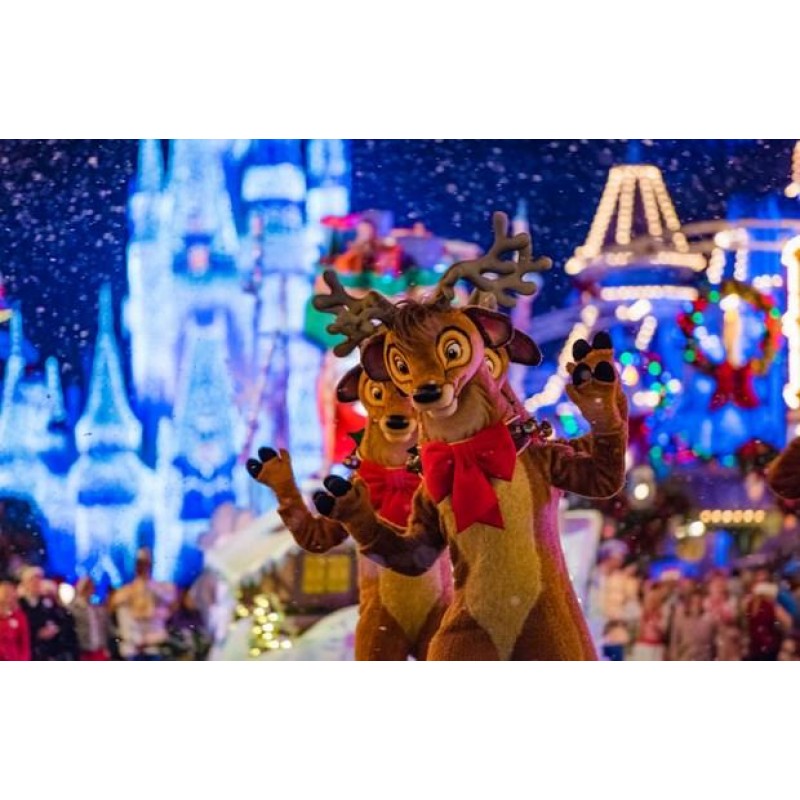 Christmas Diamond Pa...