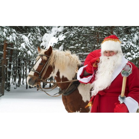 Christmas Diamond Painting Kit 5D Season 2-113