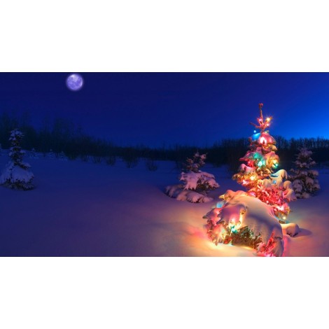 Christmas Diamond Painting Kit 5D Season 2-111