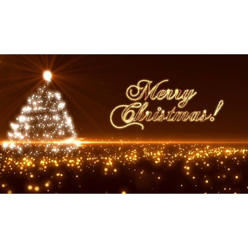 Christmas Diamond Pa...