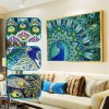 Special Shaped Peacock Diamond Painting Kit