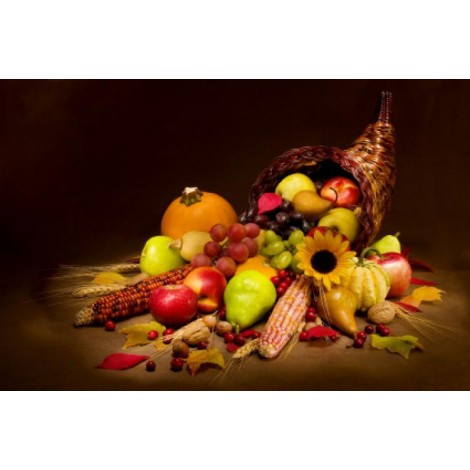 Thanksgiving Day USA Diamond Painting Kit