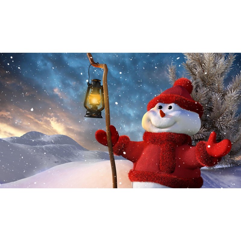 Christmas Diamond Pa...