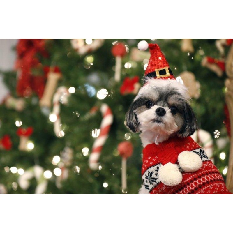 Christmas Diamond Pa...