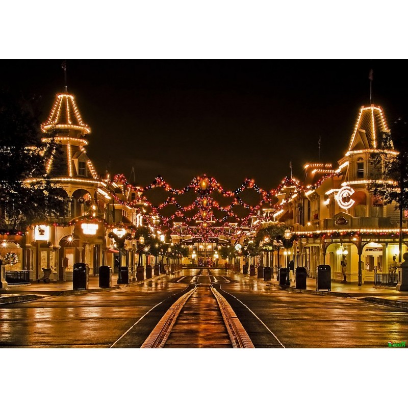 Christmas Diamond Pa...