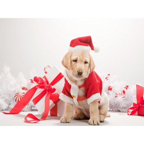 Christmas Diamond Painting Kit Christmas-13