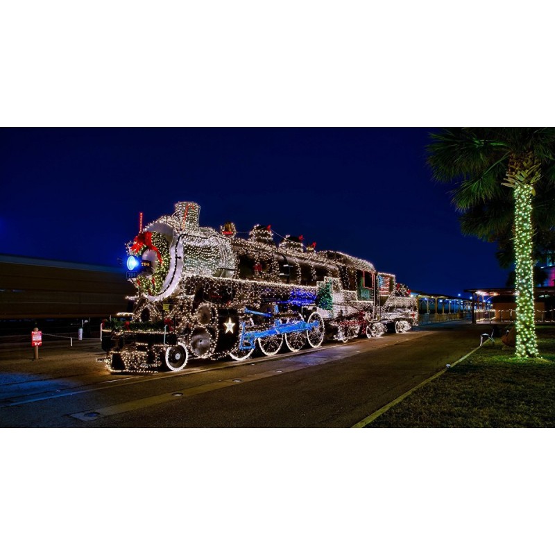 Christmas Diamond Pa...