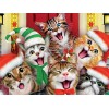 Christmas Cat Diamond Painting Kit