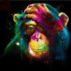 Chimp Full Colors Diamond Painting Kit