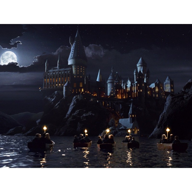 Castle Night Boat Di...