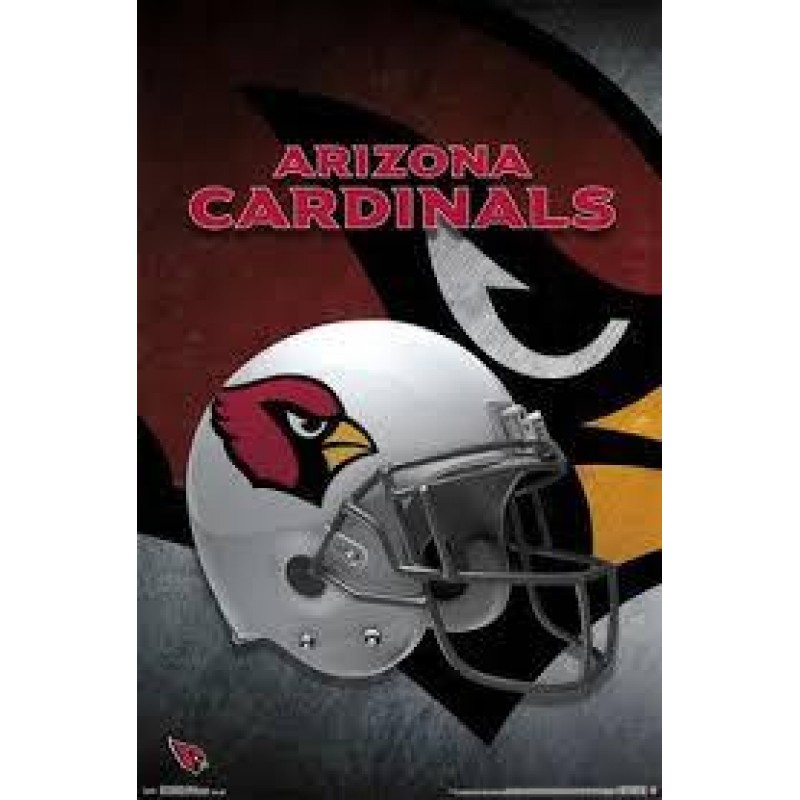 Cardinal Full Helmet...