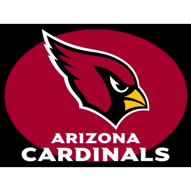 Cardinal Flag USA Di...