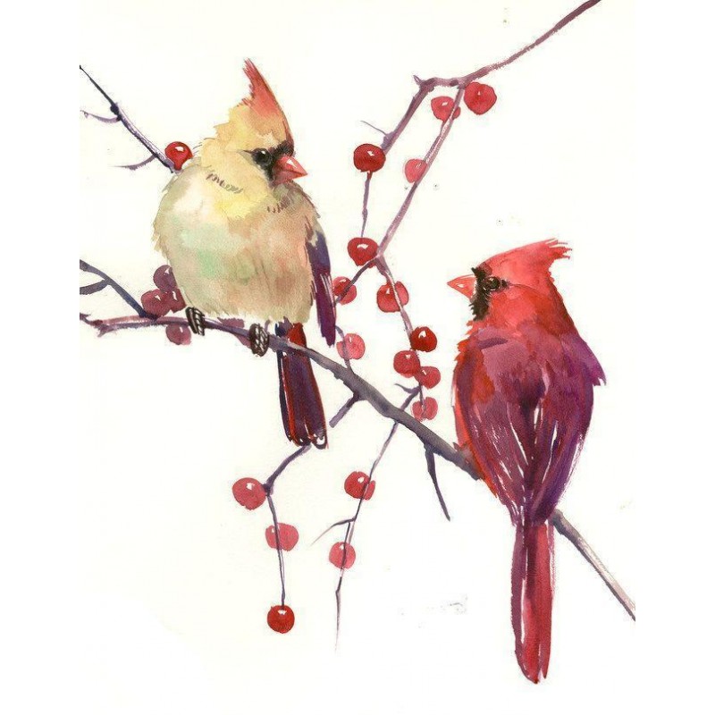 Cardinal Artist Diam...