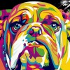 Bulldog Colors Diamond Painting Kit
