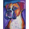 Boxer Colors Diamond Painting Kit