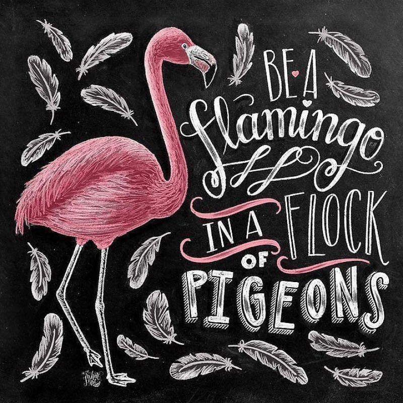 Be A Flamingo Colors...